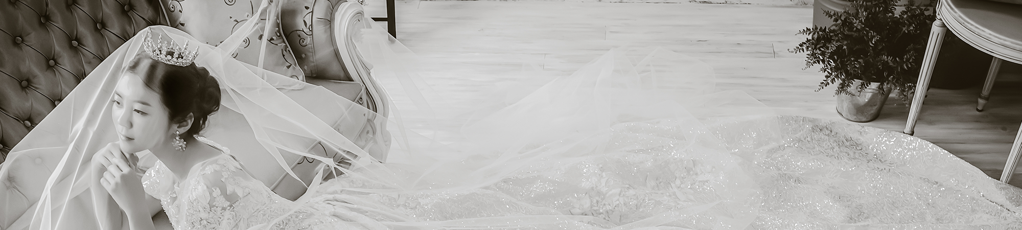 フォトウェディング専門のブライダルフォトスタジオLUXE MATSUYAMA　– リュクス松山のドレスヘッダー画像
             